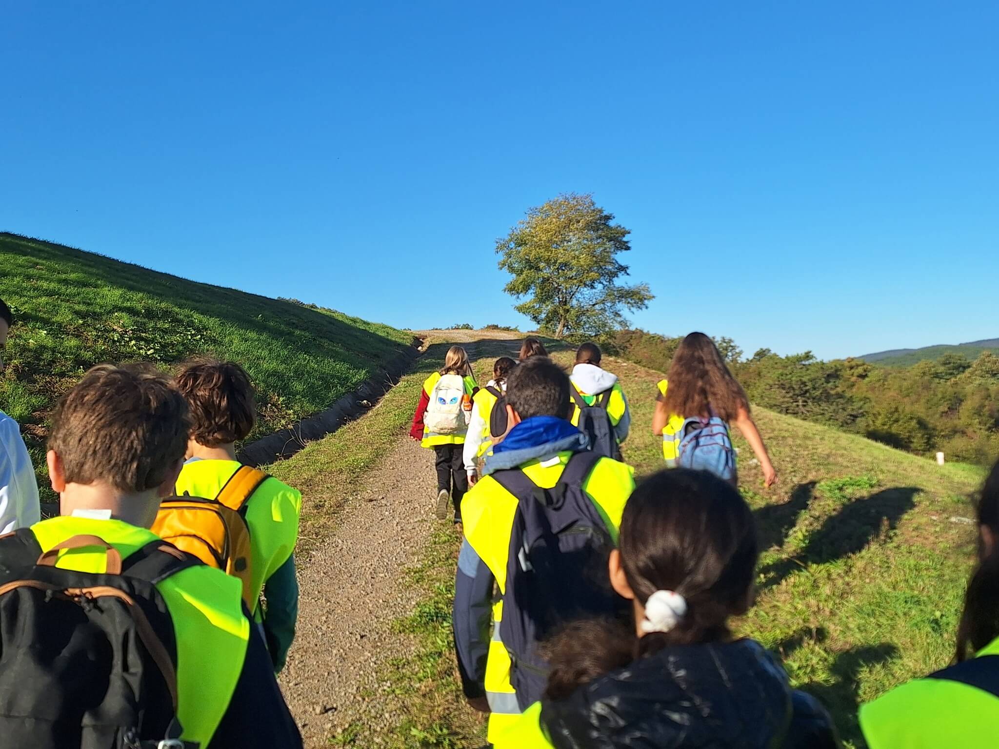 576521813 712487525204666 9023586044386167444 n