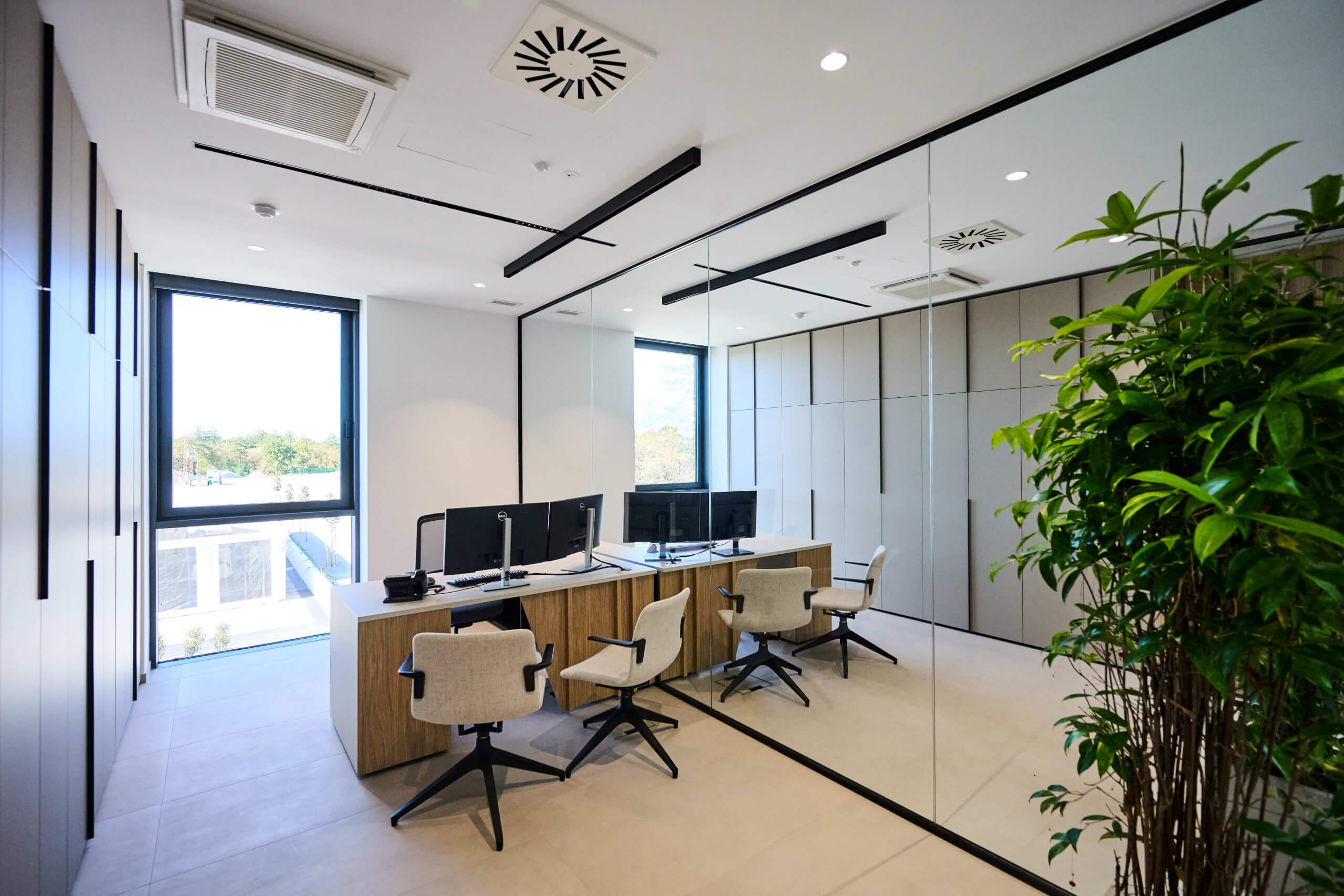 dsc 8874 54860277046 o1