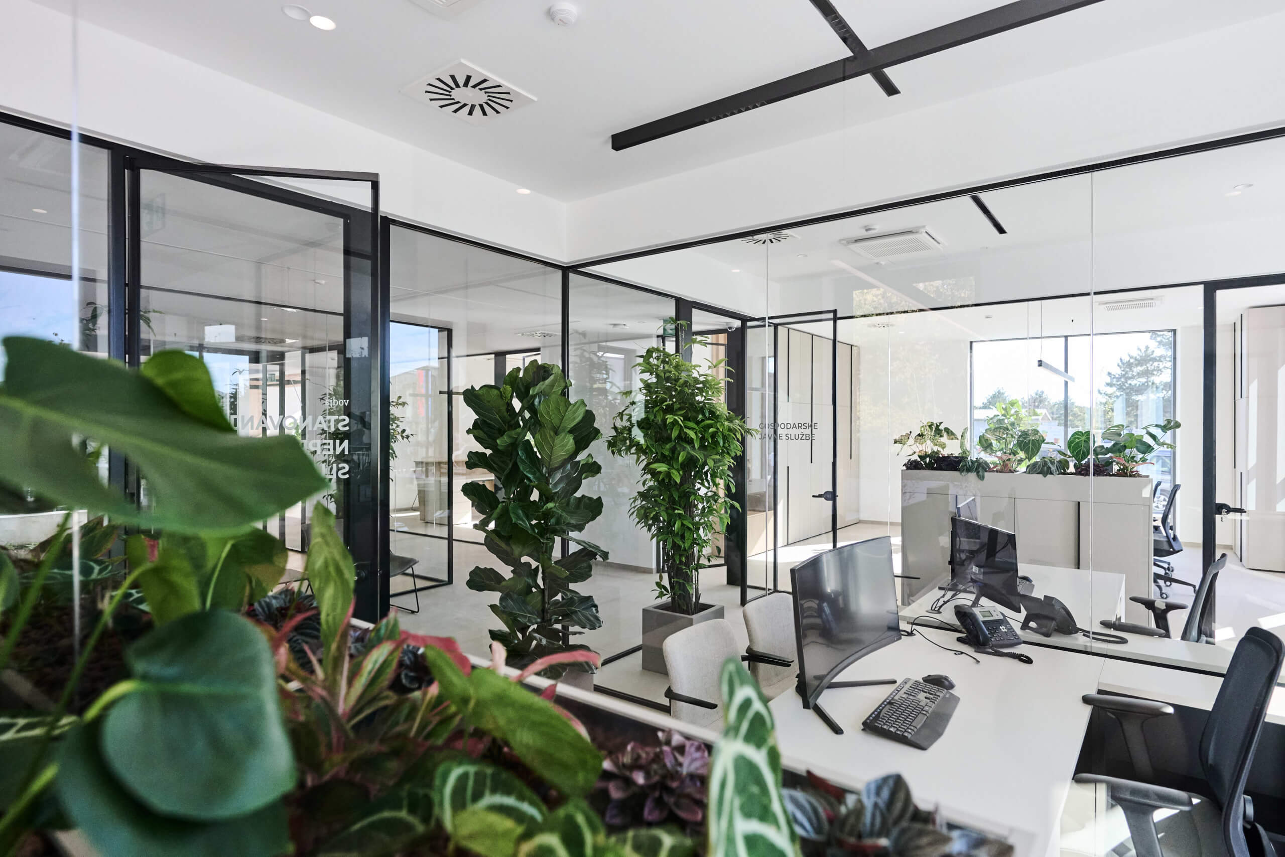 dsc 8981 54859410437 o1