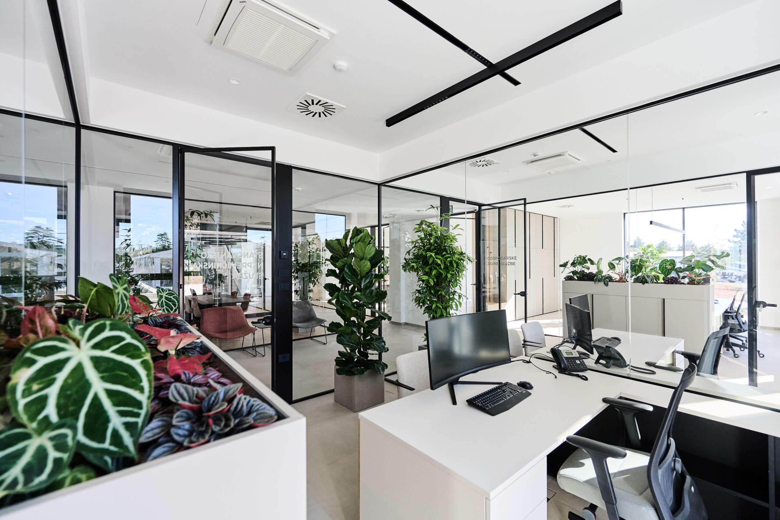 dsc 8989 54859409502 o1