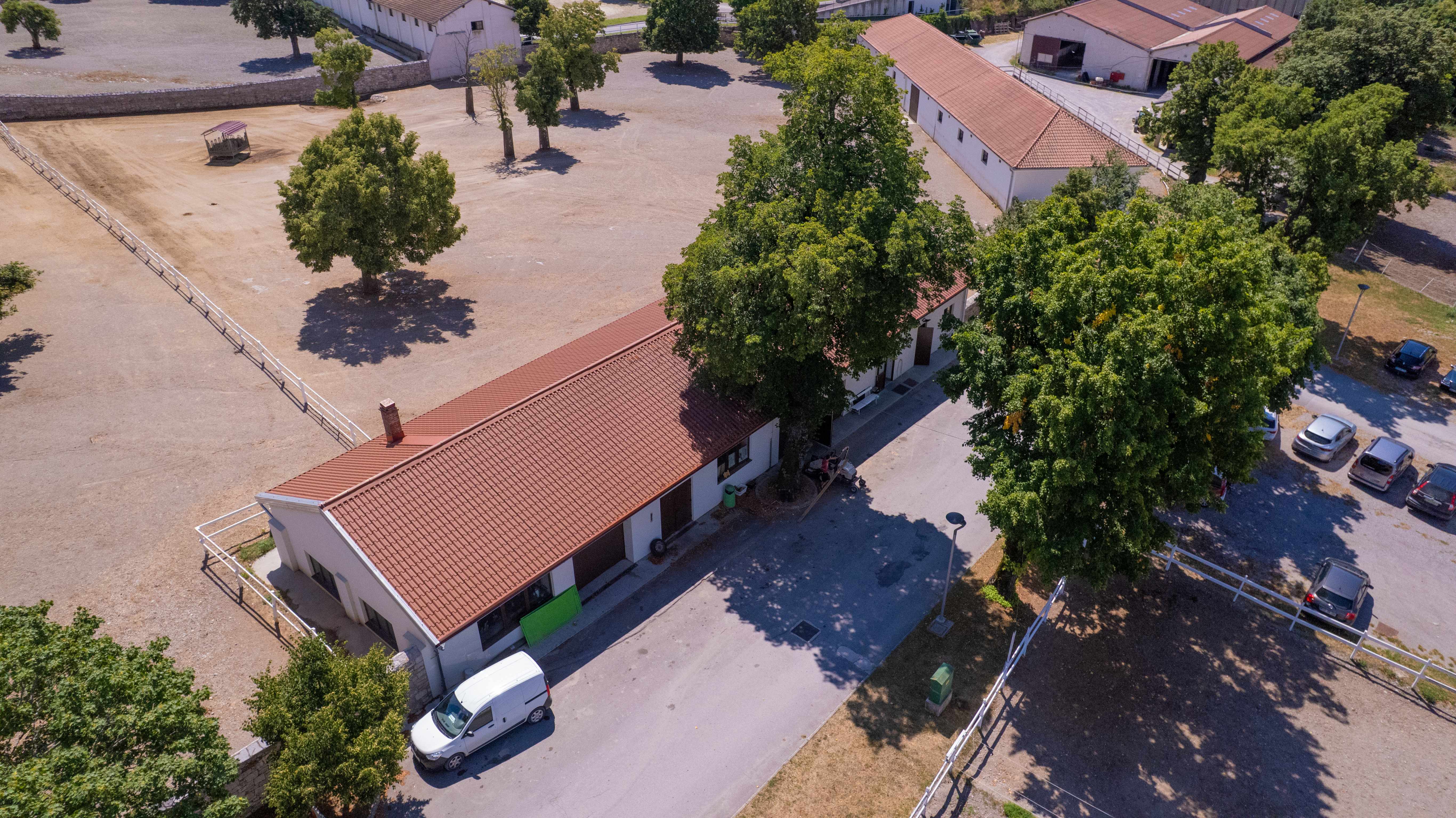 Delavnica vzdrzevanja Lipica 2pom